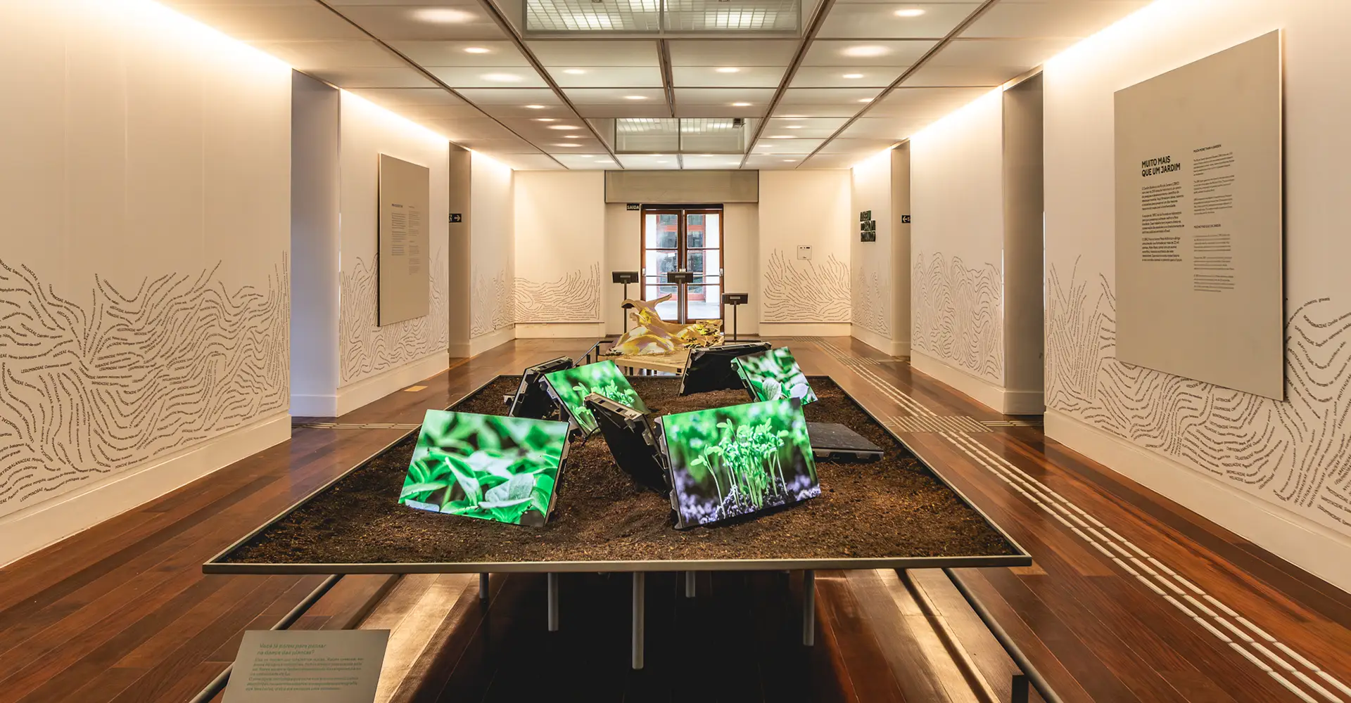 Fale com o Instituto MEGADIVERSO Fale com o Instituto MEGADIVERSO